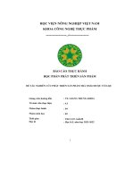(Tiểu luận) đề tài nghiên cứu phát triển sản phẩm trà thảo dược túi lọc