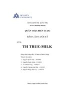 Quản trị chiến lược báo cáo cuối kỳ đề tài th true milk