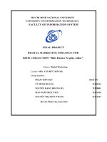 (Tiểu Luận) Final Project Digital Marketing Strategy For Bitis Collection Bitis Hunter X Spiky Collar.docx