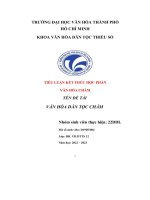 (Tiểu luận) tiểu luận kết thúc học phần văn hóa chăm tên đề tài văn hóa dân tộc chăm