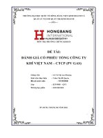 (Tiểu luận) đề tài đánh giá cổ phiếu tổng công ty khí việt nam – ctcp (pv gas)
