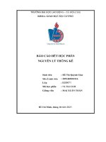 (Tiểu luận) báo cáo hết học phần nguyên lý thống kê