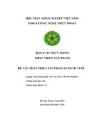 (Tiểu luận) báo cáo thực hành phát triển sản phẩm đề tài phát triển sản phẩm bánh mì tươi