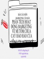 (Tiểu luận) báo cáo môn marketing căn bản phân tích hoạt động marketing về mì tôm chua cay hảo hảo của công ty acecook