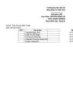 (Tiểu luận) báo cáo học phần truyền sóng và anten tool radio works so sánh kết quả giữa tính toán theo lý thuyết và tool radioworks có độ chênh lệch nhỏ