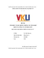 (Tiểu luận) đề tài tìm hiểu về hệ thống thông tin tích hợp erp của công ty cổ phần fpt