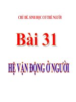 Khbd pp 31 tv bài 31 he van dong khtn8 kntt bộ 2 vt