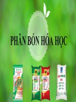 Khbd pp 12 tv bài 12 phân bón hoá học khtn 8 kntt bộ 2 vt