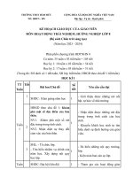 Ppct.2324.Hđtn 8 - Ctst.docx