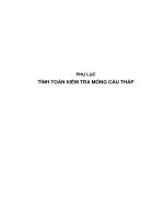 Tính toán kiểm tra móng cẩu tháp, bản vẽ