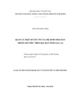 Quản lý một số yếu tố của hệ sinh thái đất trồng hồ tiêu trên địa bàn tỉnh Gia Lai