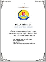 (Tiểu luận) đề tài thực trạng tạo động lực lao động cho đội ngũ nhân viên tại công ty tnhh công nghệ naba việt nam