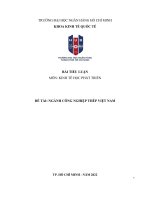 NGÀNH CÔNG NGHIỆP THÉP VIỆT NAM