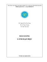 Bài Giảng Text Lãnh Đạo Học.pdf