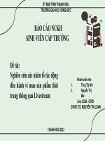 (Tiểu luận) đề tài nghiên cứu các nhân tố tác động đến hành vi mua sản phẩm thời trang thông qua livestream