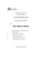 (Tiểu luận) quản trị chiến lược báo cáo cuối kỳ đề tài th true milk