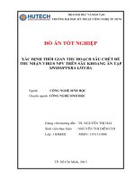 Đồ án tốt nghiệp  xác định thời gian thu hoạch sâu chết để thu nhận virus npv trên sâu khoang ăn tạp spodoptera litura