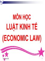 Slide bài giảng môn Luật kinh tế (full 10 chuong   493 slide )