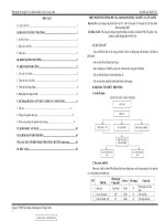 Biện pháp thi công bó vỉa tấm đan rãnh vỉa hè và cây xanh, thuyết minh và bản vẽ