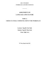 Tiểu luận ngôn ngữ và văn hóa
