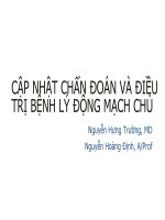 CẬP NHẬT CHẨN ĐOÁN VÀ ĐIỀU TRỊ BỆNH LÝ ĐỘNG MẠCH CHỦ