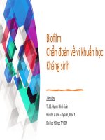 Biofilm chẩn đoán về vi khuẩn học kháng sinh