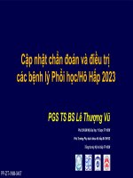 Cập nhật chẩn đoán và điều trị các bệnh lý Phổi họcHô Hấp 2023