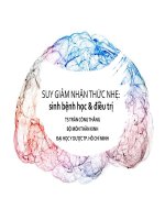 2  suy giảm nhận thức nhẹ  slb va dt