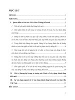 Tiểu luận cao học  xây dựng đảng   uan điểm của v i lênin về xây dựng chính đảng kiểu mới và sự vận dụng vào thực tiễn xây dựng đảng cộng sản việt nam”