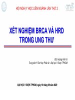 Xét nghiệm brca và hrd trong ung thư