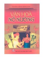 Văn hóa nõ nường