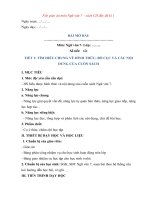 KHBD VĂN 7 CÁNH DIỀU KÌ 1