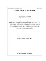 Hiệu quả tái thông sớm và tính an toàn của liệu pháp tiêu sợi huyết đường tĩnh mạch ở người bệnh đột quỵ thiếu máu não cấp do tắc động mạch lớn