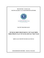 Áp dụng biện pháp khẩn cấp tạm thời theo pháp luật tố tụng dân sự việt nam