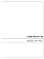 4  full tam cap bon hoa sh8