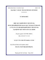 hiệu quả khởi phát chuyển dạ bằng dinoprostone dạng đặt âm đạo ở thai kỳ ≥ 37 tuần có chỉ định khởi phát chuyển dạ tại bệnh viện nhân dân gia định