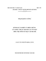 đánh giá tai biến và biến chứng của phẫu thuật nội soi cắt túi mật điều trị viêm túi mật cấp do sỏi