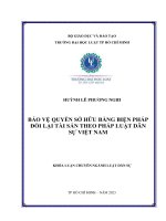 Bảo vệ quyền sở hữu bằng biện pháp đòi lại tài sản theo pháp luật dân sự việt nam