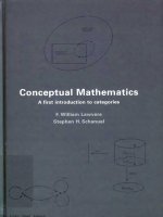 Conceptual mathematics