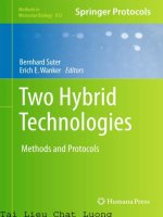 Two hybrid technologies  methods and protocols