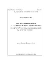kiến thức về bệnh thận mạn và các phương pháp điều trị thay thế thận của bệnh nhân suy thận mạn giai đoạn cuối tại bệnh viện chợ rẫy