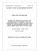 Nghiên cứu mối liên quan giữa các đa hình đơn nucleotide vùng gen Interferon Regulatory Factor 6 (IRF6) với dị tật bẩm sinh khe hở môi  vòm miệng không hội chứng ở người Việt