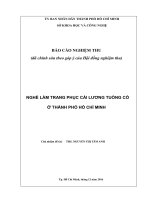 Nghề Làm Trang Phục Cải Lương Tuồng Cổ Ở Thành Phố Hồ Chí Minh Đại Học Mở Thành Phố Hồ Chí Minh.pdf