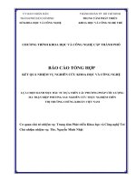 Lựa Chọn Danh Mục Đầu Tư Dựa Trên Các Phương Pháp Ước Lượng Ma Trận Hiệp Phương Sai Nghiên Cứu Thực Nghiệm Trên Thị Trường Chứng Khoán Việt Nam.pdf