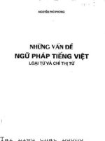 Những vấn đề ngữ pháp tiếng việt  loại từ và chỉ thị từ