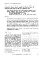 Hành vi sử dụng chất kích thích khi quan hệ tình dục (CHEMSEX) và một số yếu tố liên quan ở nam quan hệ tình dục đồng giới tại tỉnh An Giang năm 2022