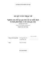 Nghiên cứu chế tạo que thử sắc ký miễn dịch từ tính phát hiện vi rút cúm gia cầm