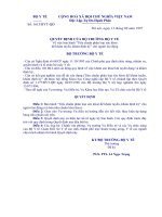 Qdh 1613 ban hanh ve tieu chuan phan loai suc khoe 8