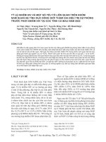 Tỷ lệ nhiễm HIV và một số yếu tố liên quan trên nhóm nam quan hệ tình dục đồng giới tham gia điều trị dự phòng trước phơi nhiễm HIV tại CDC tỉnh Cà Mau năm 2022