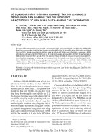 Sử dụng chất kích thích khi quan hệ tình dục (CHEMSEX) trong nhóm nam quan hệ tình dục đồng giới và một số yếu tố liên quan tại thành phố Cần Thơ năm 2021